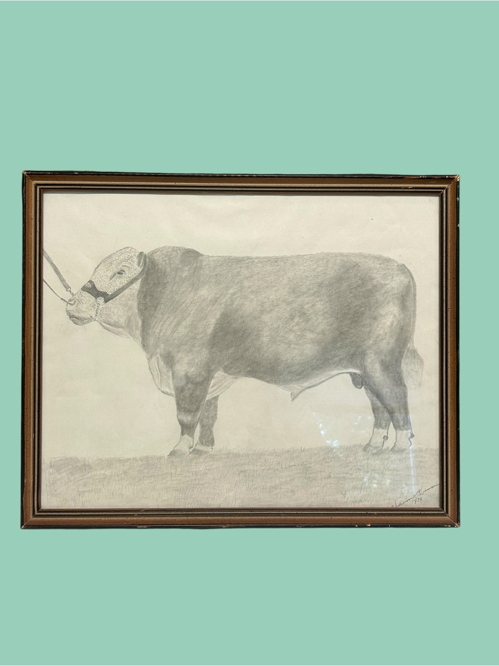 Vintage 1979 Vernon Swanson Hereford Bull Pencil Sketch Drawing Framed Art